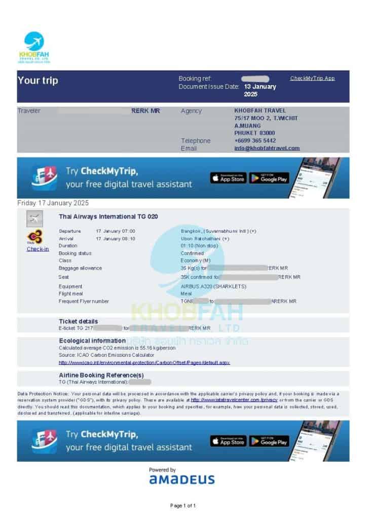 Thai Airways Government Ticket