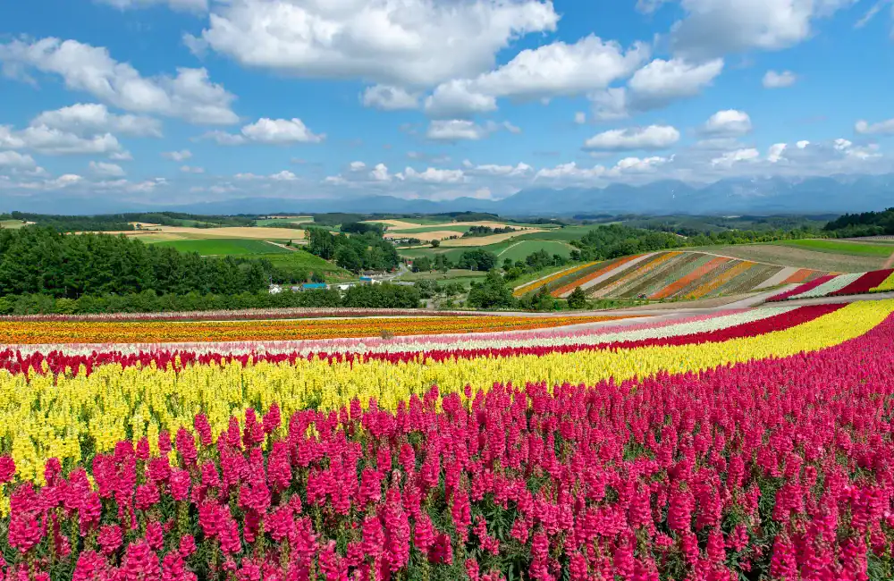 Hokkaido